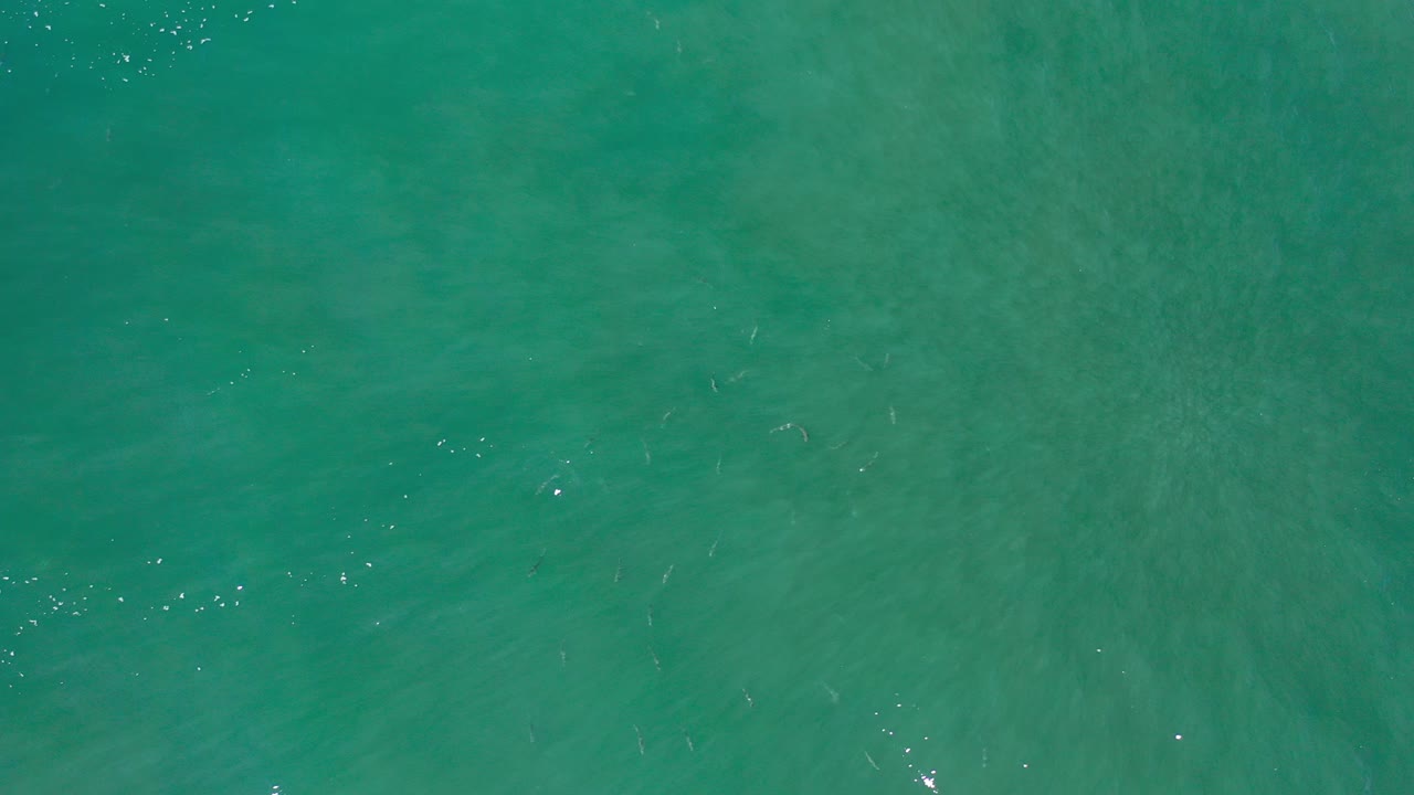 Top-down view of green ocean water with faint wave streaks.