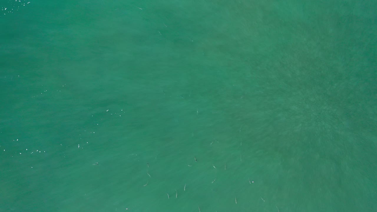 Straight-down view of clear turquoise ocean water in Los Cabos, Mexico, with faint underwater texture and no visible people.