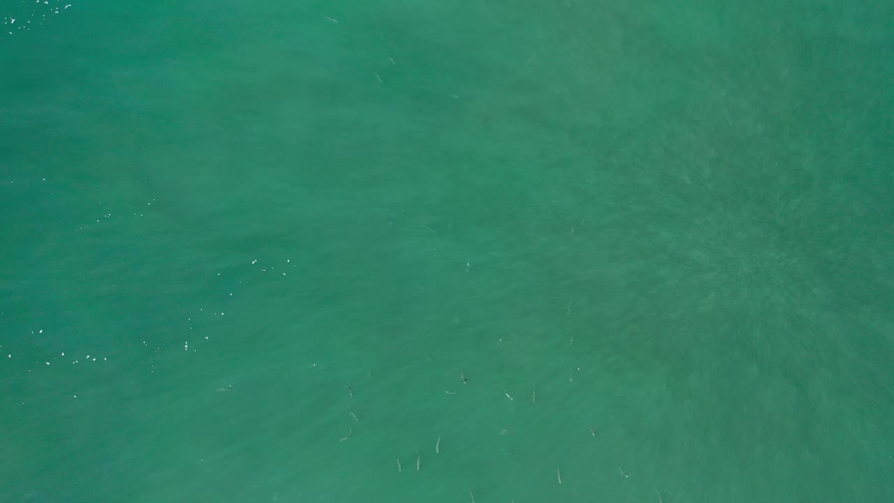 Overhead Los Cabos ocean frame with green blue water, scattered white highlights, and no visible people or shoreline.
