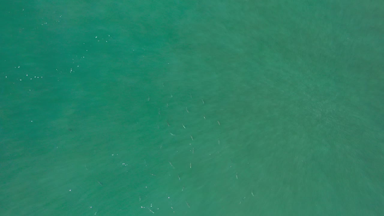 Top-down view of green-blue seawater in Los Cabos, Mexico, with faint subsurface patches, scattered highlights, and no visible people.