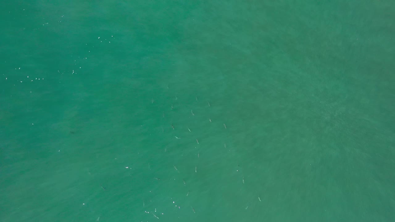 Overhead Los Cabos seawater with soft diagonal ripple lines, muted green color variation, and no visible people.