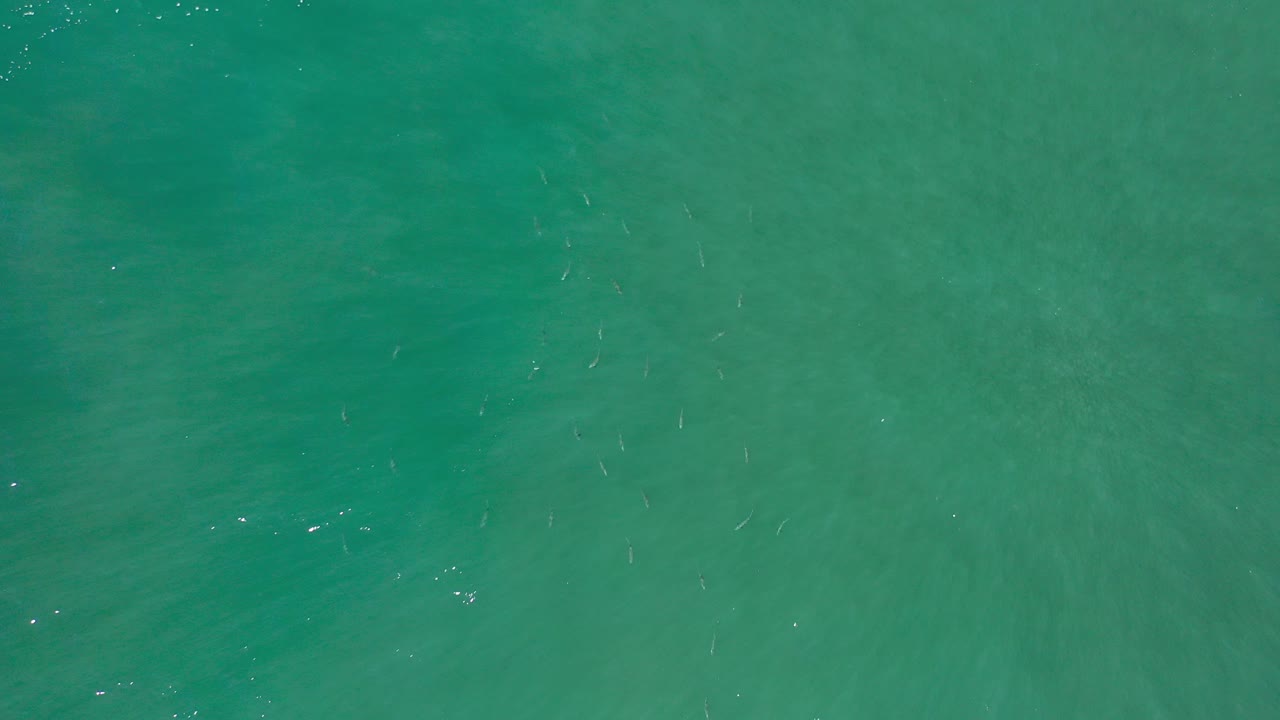 Overhead view of clear turquoise ocean water in Los Cabos, Mexico, with faint surface ripples and no visible people.