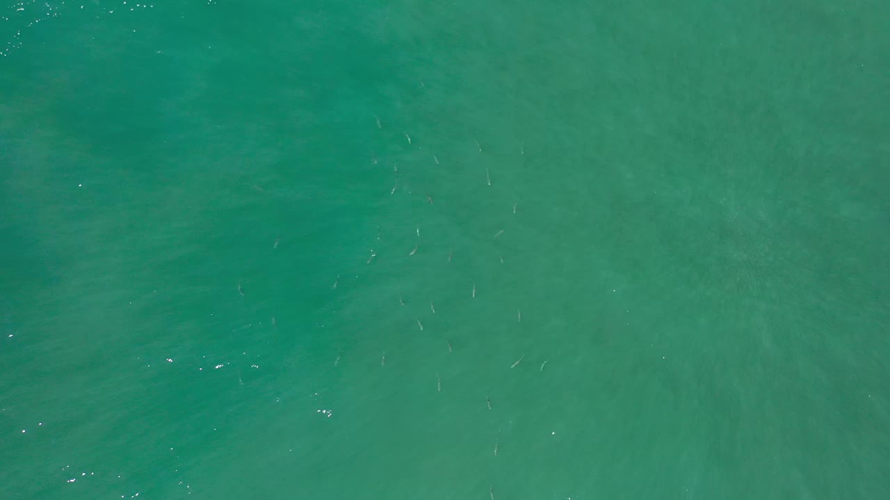Clear green-blue ocean surface in Los Cabos, Mexico, with small bright highlights scattered across the water and no visible people.