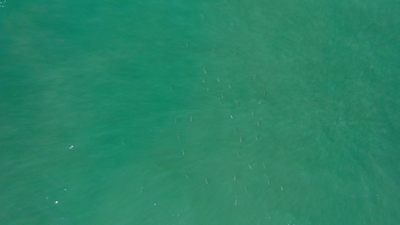 Overhead view of green-blue ocean water in Los Cabos, Mexico, with faint small fish shapes below the rippled surface and no visible people.