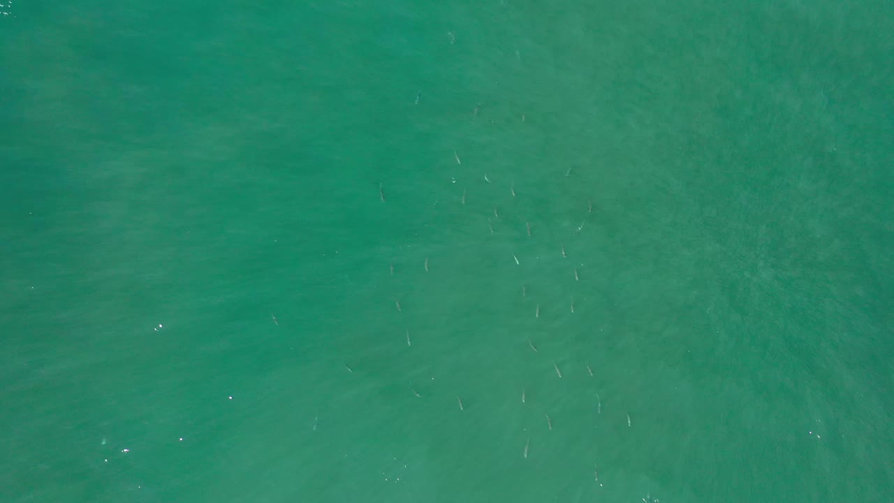 A straight-down frame of open Los Cabos ocean water shows soft ripples, scattered light flecks, and faint fish traces beneath the surface with no visible people.