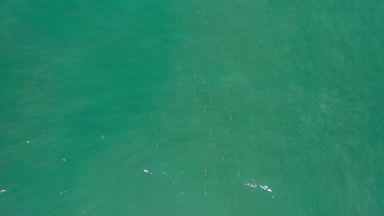 Rippling turquoise sea with fish below surface