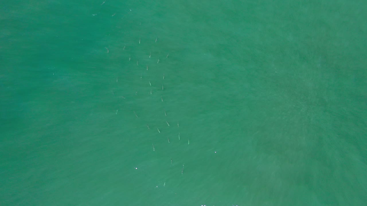 Turquoise ocean water filling the frame