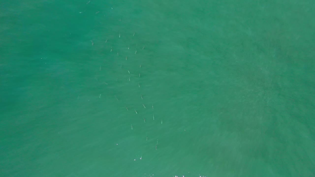 Green-blue sea surface in Los Cabos, Mexico, seen from above with small bright reflections and no visible people.