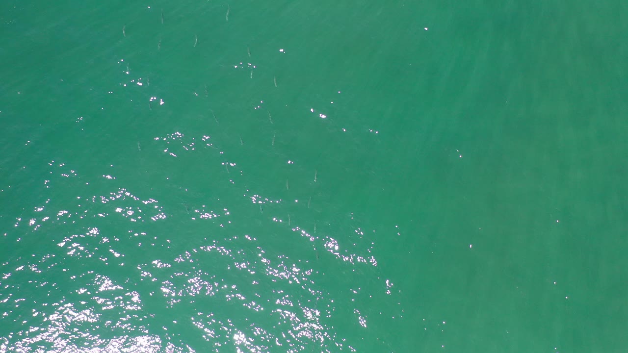 Turquoise ocean surface with clustered sunlight reflections.