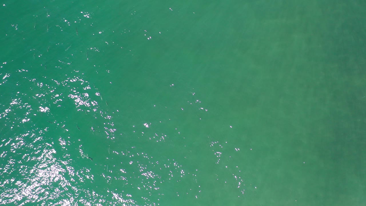Green sea surface with bright sun glints