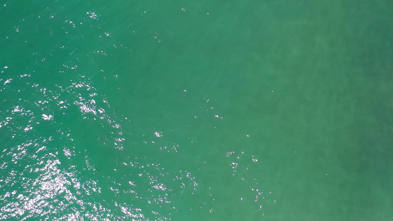 Top-down frame of clear green Los Cabos seawater with scattered white reflections across the center and no visible people.