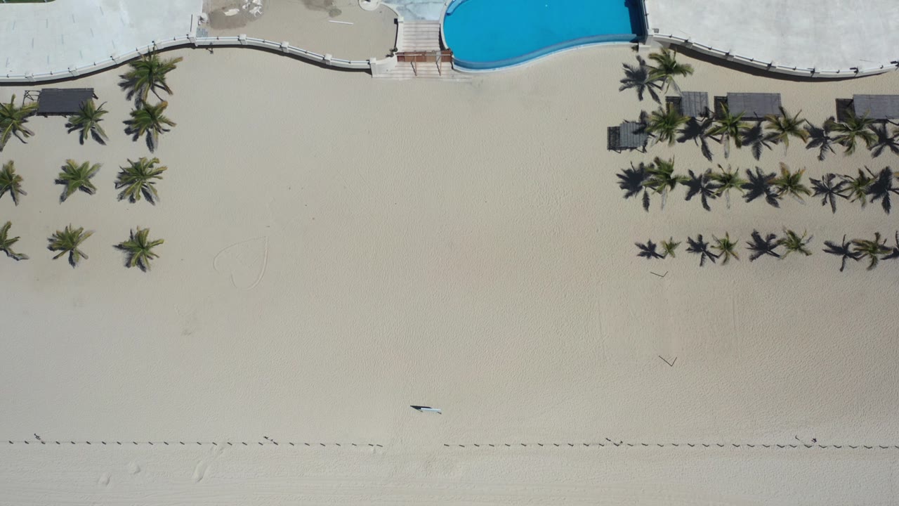 High overhead view in Los Cabos showing pale sand, orderly rows of palms, a curved pool deck, and the edge of a bright blue pool, with no visible people in this frame.