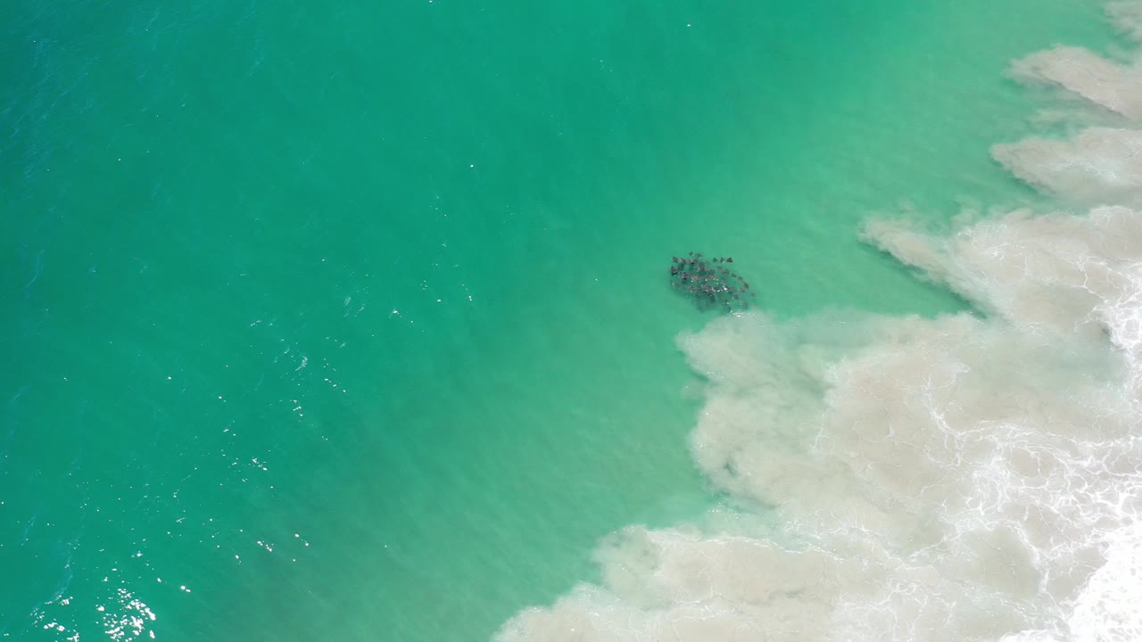 Overhead view of turquoise-green ocean in Los Cabos, Mexico, with white surf foam entering from the right and no visible people.