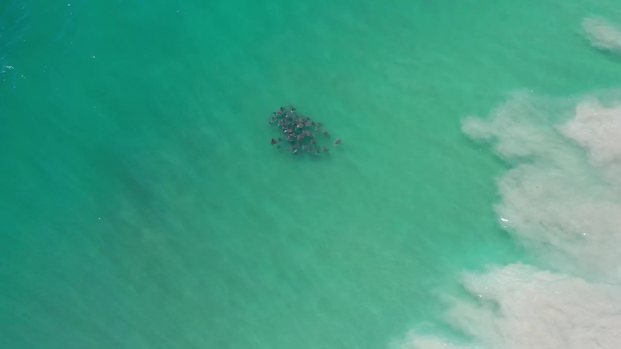 A small school of fish sits below the surface in Los Cabos water, offset from soft white foam on the right with no visible people.