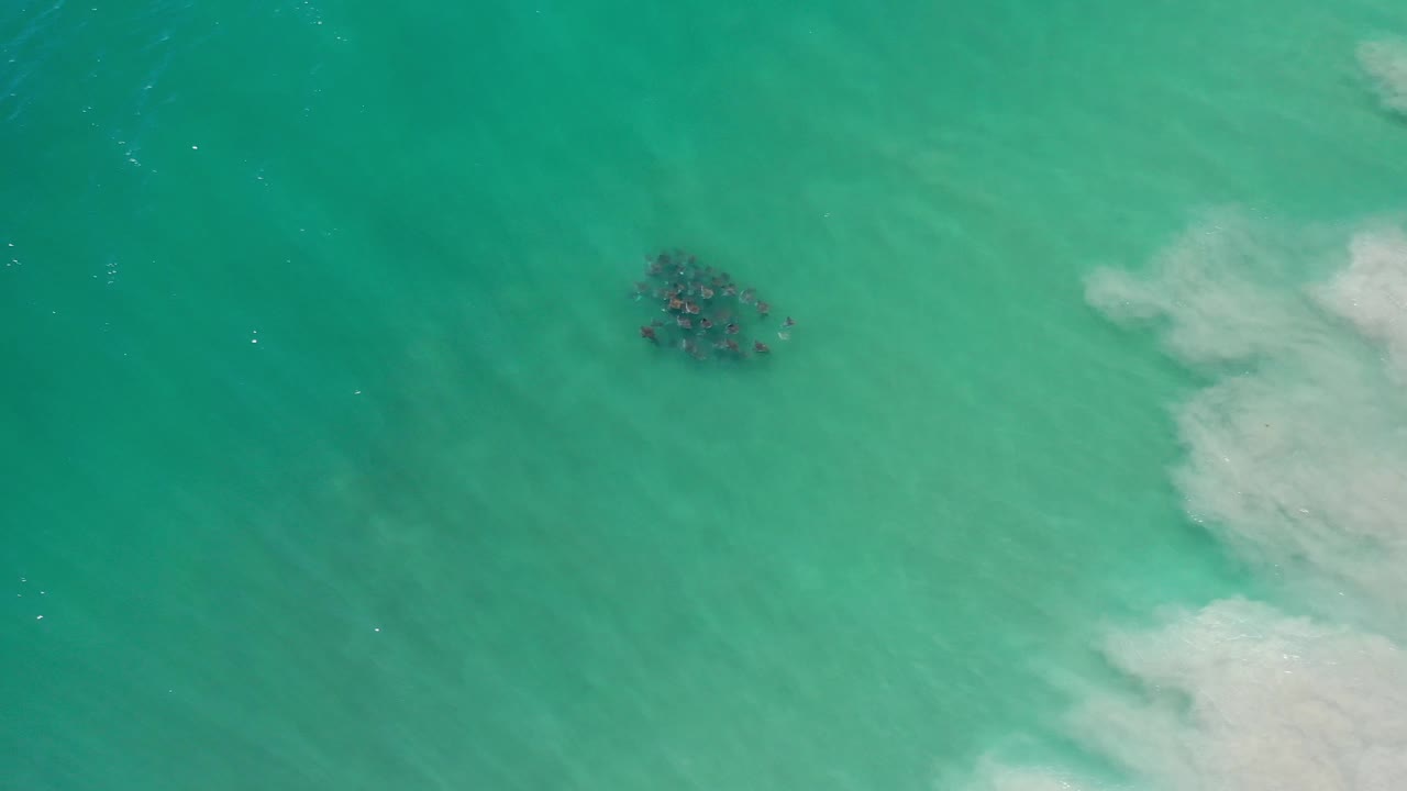 Fish school near the upper right of clear turquoise ocean water.