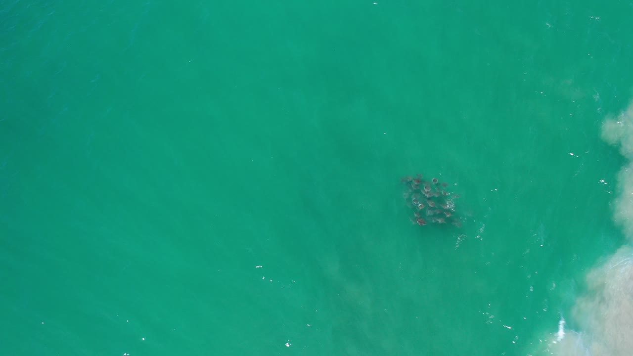 Top-down green ocean with a dark underwater cluster near center.