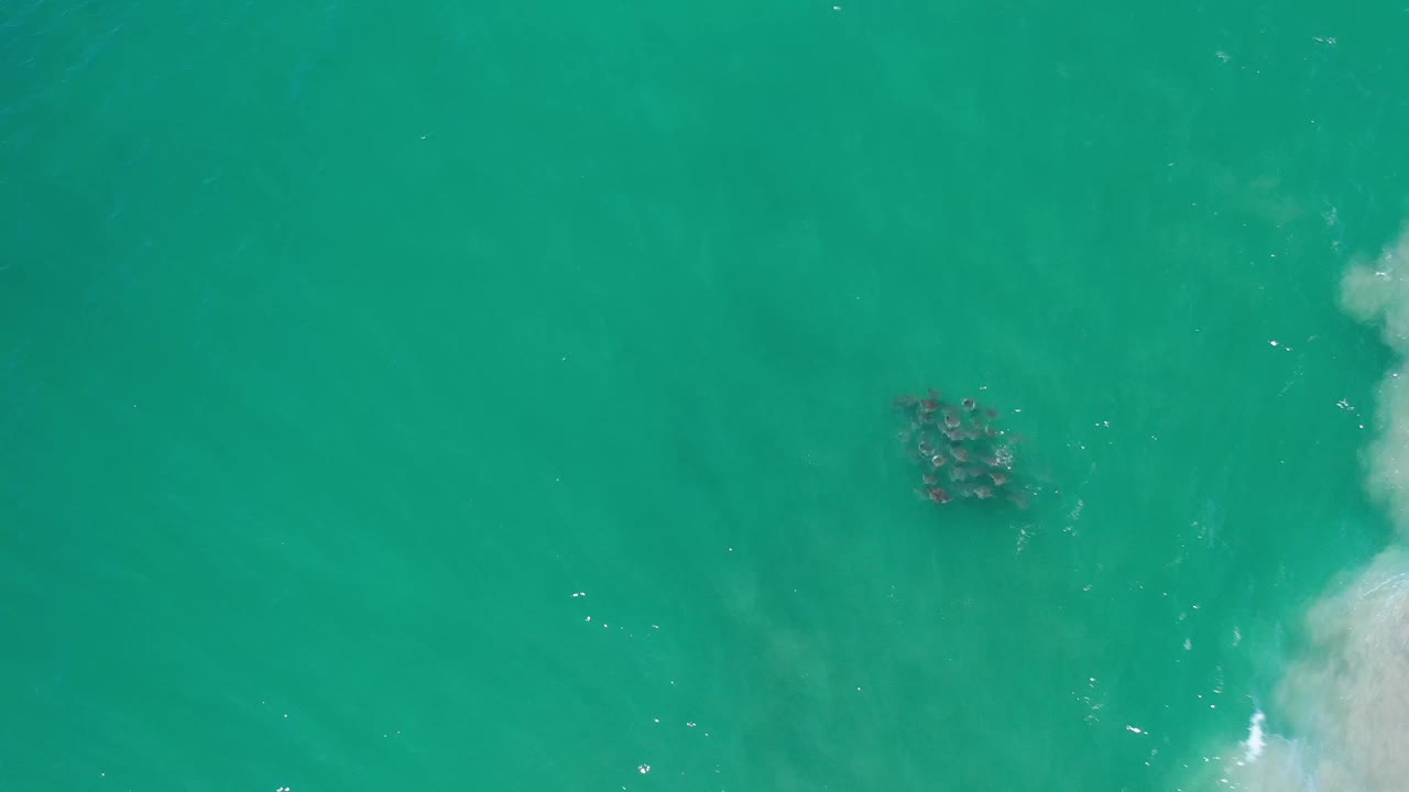 Aerial top view over green Los Cabos water, with the underwater cluster slightly right of center and pale wave wash entering from the right, no visible people.
