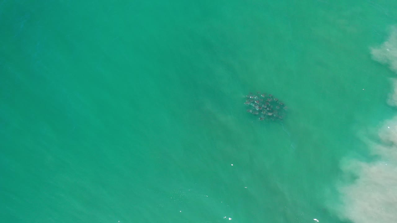 Overhead view in Los Cabos, Mexico of a compact fish formation in clear turquoise water, with pale wave wash entering along the right edge and no visible people.