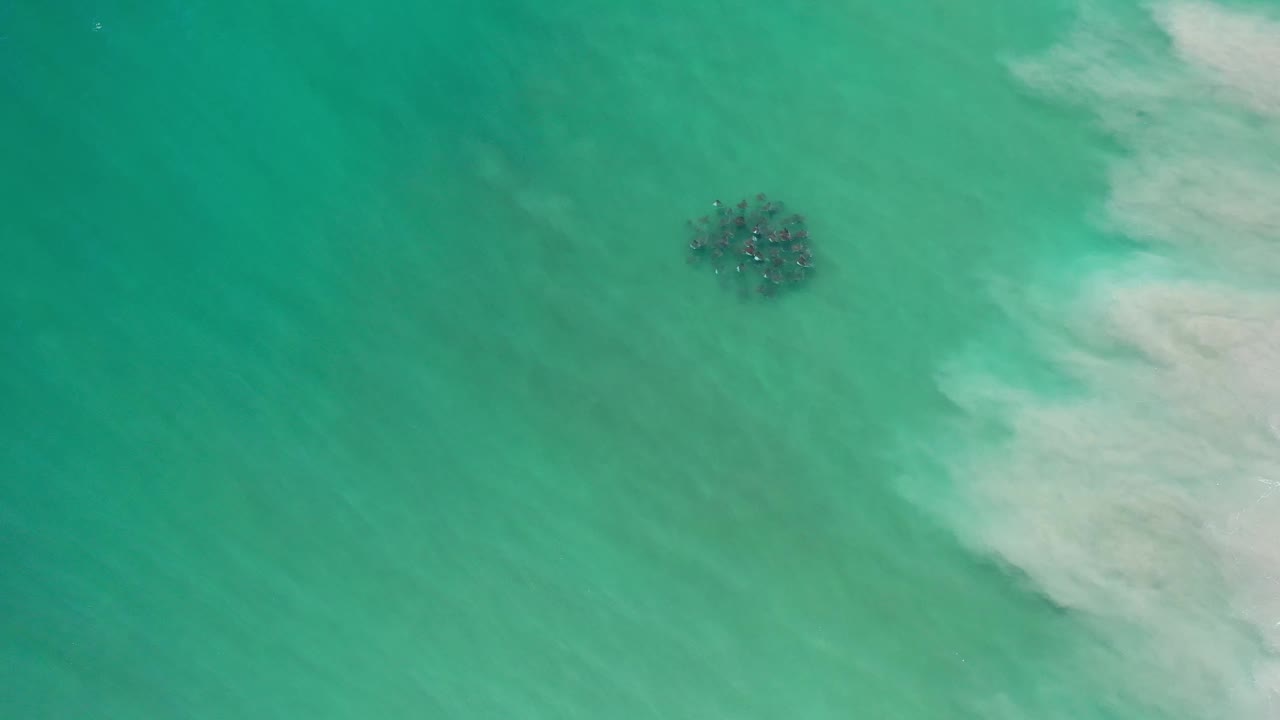 Overhead Los Cabos frame with the seaweed cluster slightly right of center and a soft pale wash along the right side, with no visible people.