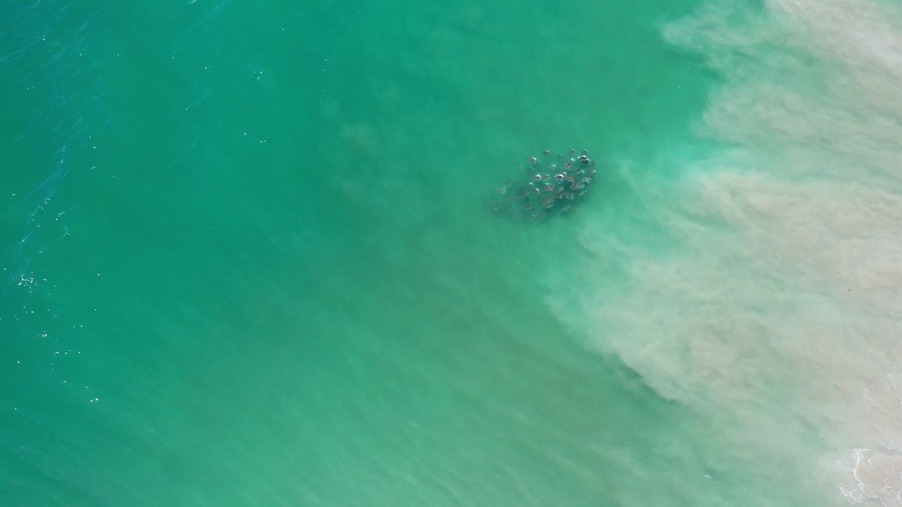 At the start of the Los Cabos, Mexico clip, a dark whale shape is visible under turquoise ocean water beside a pale band of shore break, with no visible people.