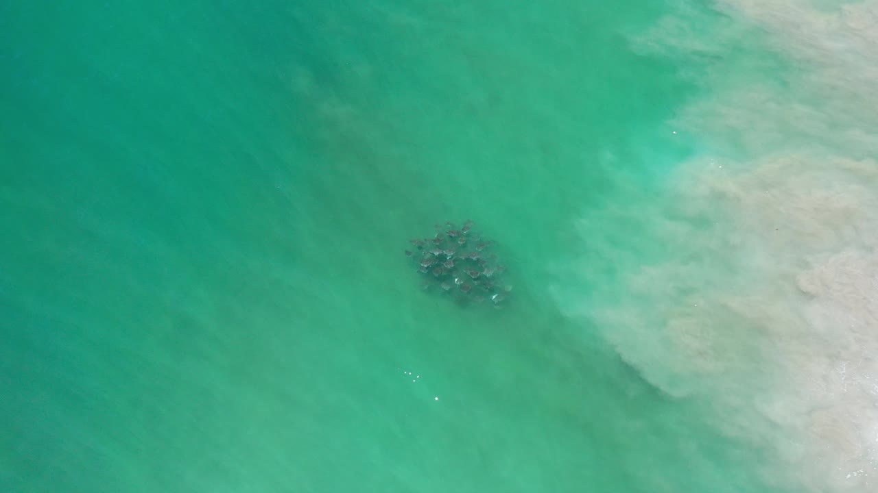 Overhead view of green water in Los Cabos, Mexico, with a small dark underwater cluster near center-left and pale shallows along the right edge, no visible people.