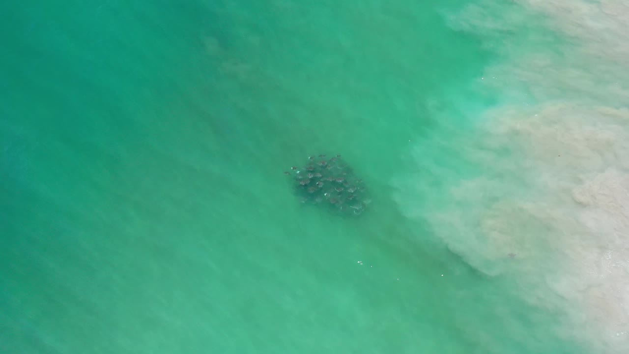Aerial green water with a dark underwater cluster beside a broad pale shallows area.