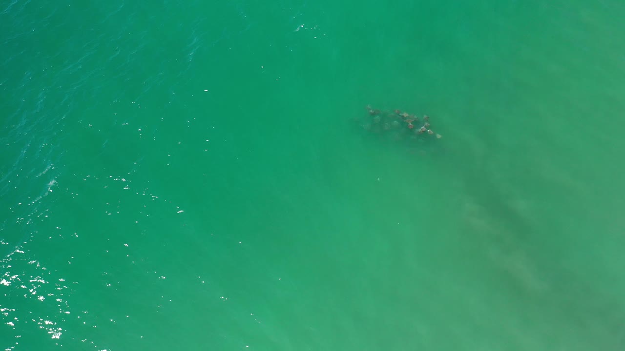 Aerial green water with a small fish school near the upper right.