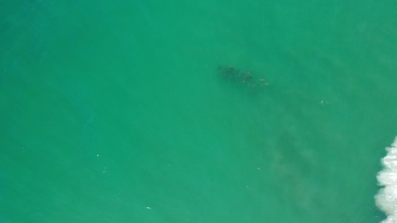 At 0:00, a small school of fish is faintly visible beneath green ocean water in Los Cabos, Mexico, with white surf clipping the right edge and no visible people.