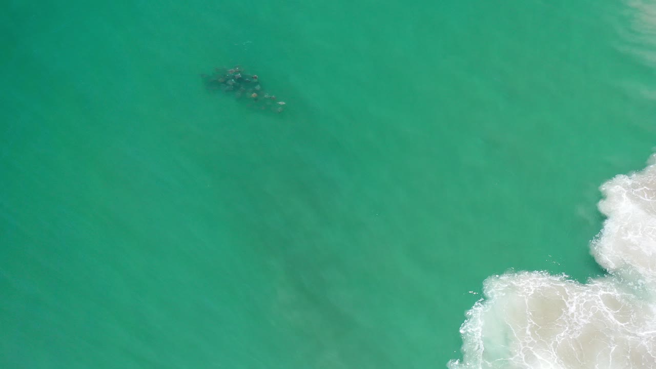 Overhead view in Los Cabos, Mexico, showing green ocean water, a dark unidentified sea creature shape near the upper left, white surf entering at the lower right, and no visible people.