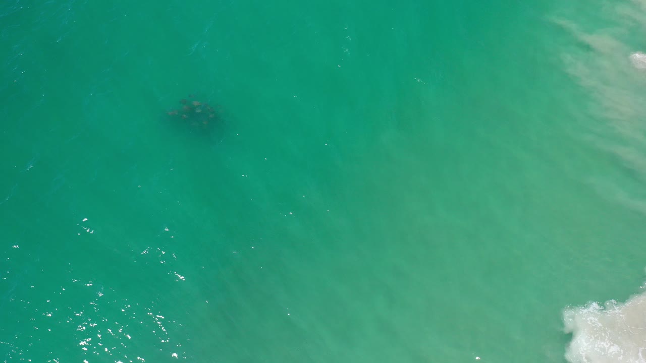 Overhead green sea water with a dark school of fish near the upper left and foam at the lower right.