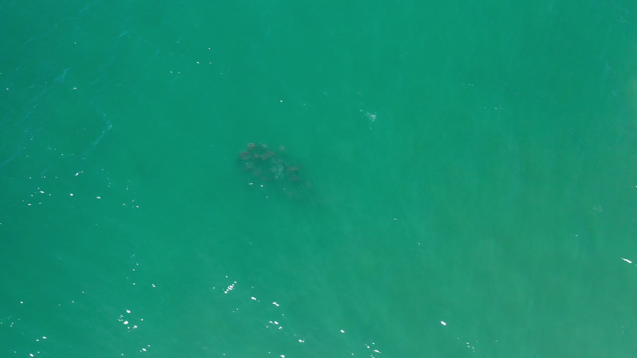 Top-down view of green sea water in Los Cabos, Mexico, with a dark fish-like form low in the frame and no visible people.