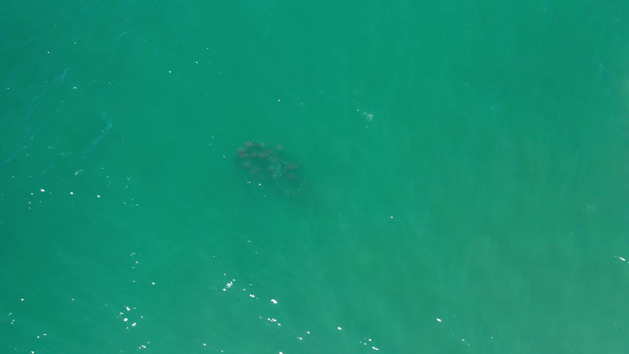 Aerial Los Cabos water frame with a dark underwater form left of center, faint ripples, small light flecks, and no visible people.