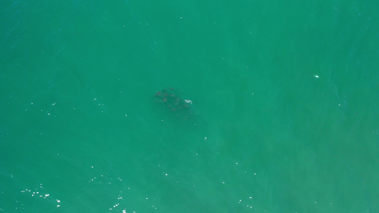 Wide green water with a darker submerged shape near center.