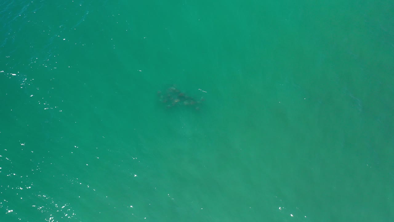 Overhead view of green ocean water in Los Cabos, Mexico, with a small dark unknown object near the upper left and no visible people.