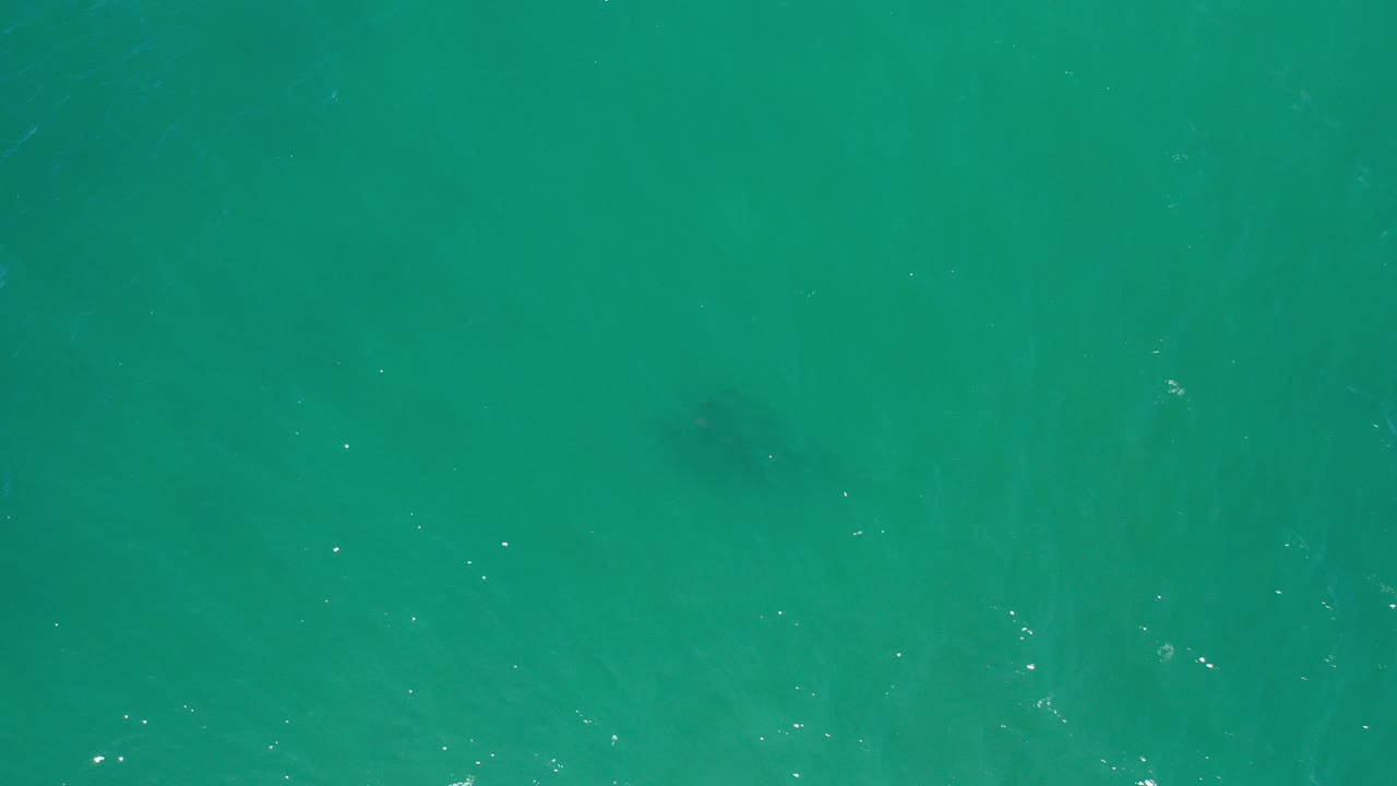 Aquamarine sea surface with a faint dark fish school near the lower right.
