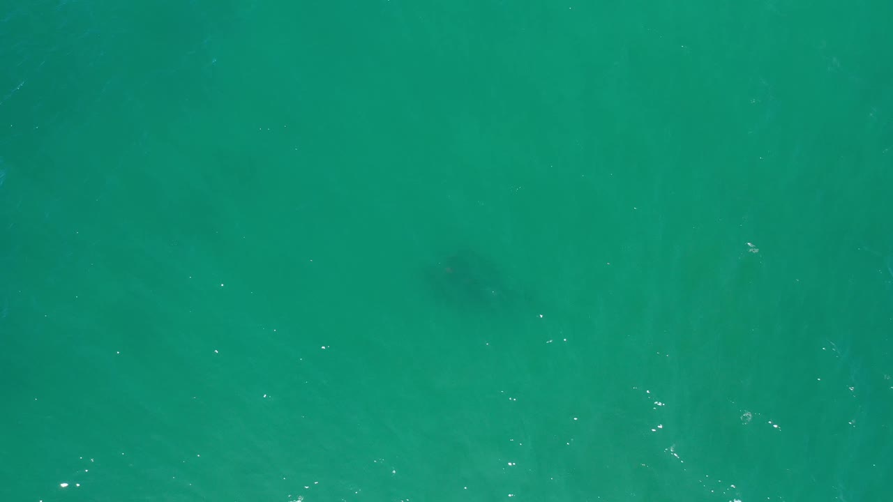 At one second, the Los Cabos water appears brighter near the top, with a compact dark fish group under the surface and no visible people.