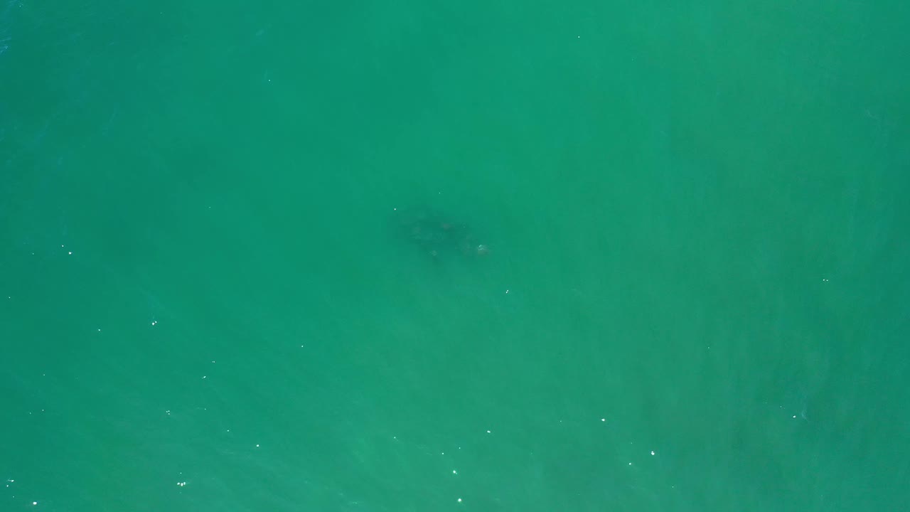 Overhead Los Cabos, Mexico water frame showing mostly green sea surface, faint darker patches, scattered white ripples, and no visible people.