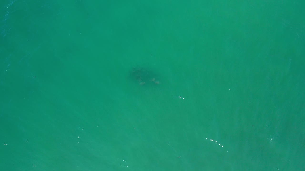 Open green water with small bright ripples and faint dark patches.