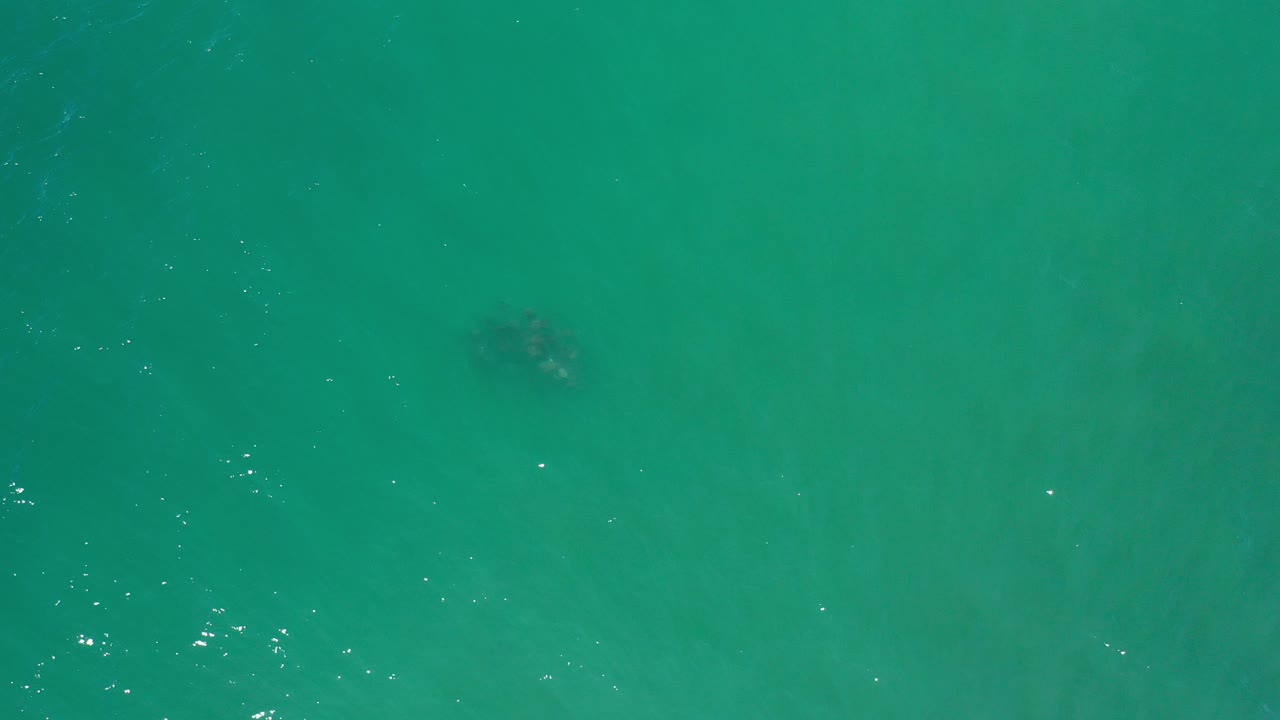 Overhead view of greenish turquoise water in Los Cabos, Mexico, with faint dark forms under the surface and no visible people.