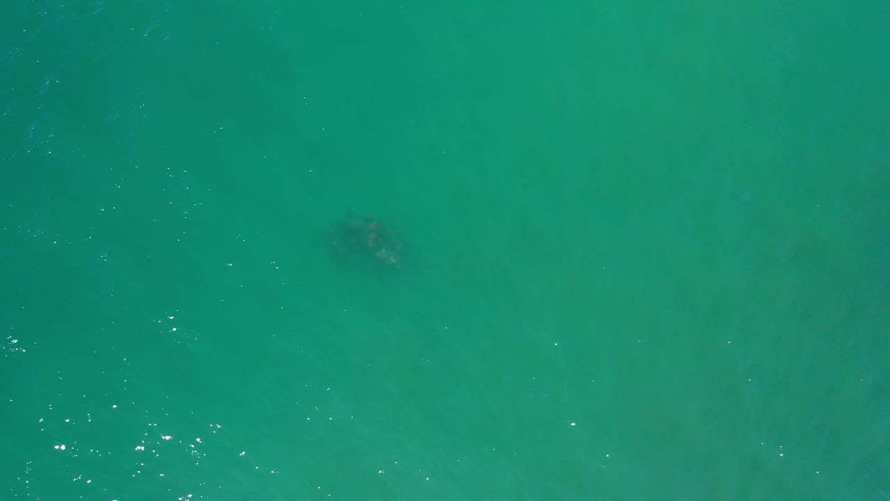 A top-down frame of Los Cabos water with brighter surface sparkle near the lower left and a faint submerged shape near the upper area, no visible people.