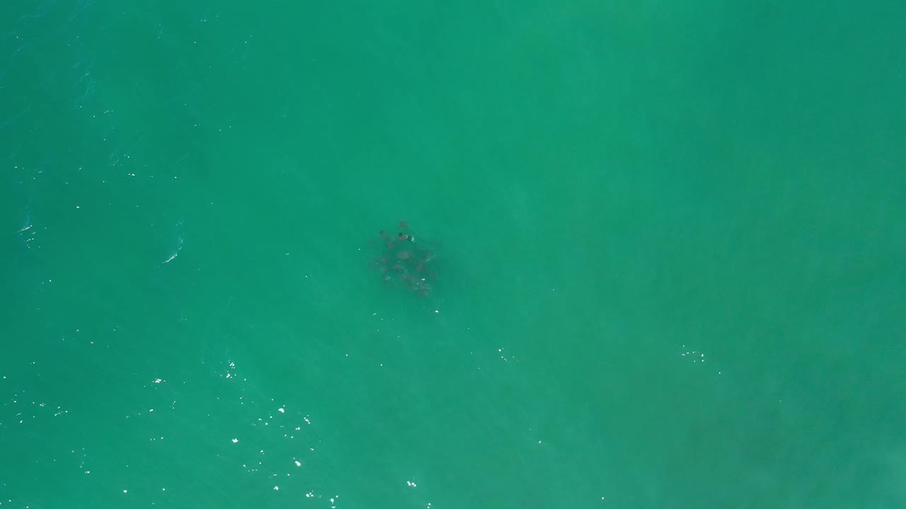 Top-down Los Cabos water frame with faint darker forms beneath the surface, scattered white reflections, and no visible people.