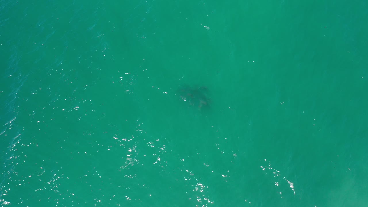 Overhead view of sea green water in Los Cabos, Mexico, with faint darker patches beneath the surface and no visible people.