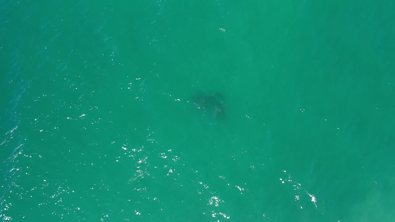 Overhead Los Cabos water frame with small white surface glints and a dim dark spot under the green water, with no visible people.