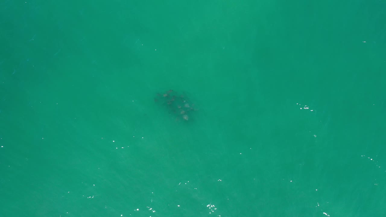 Overhead Los Cabos ocean water shows white reflected light across a turquoise surface, with faint darker areas below the water and no visible people.