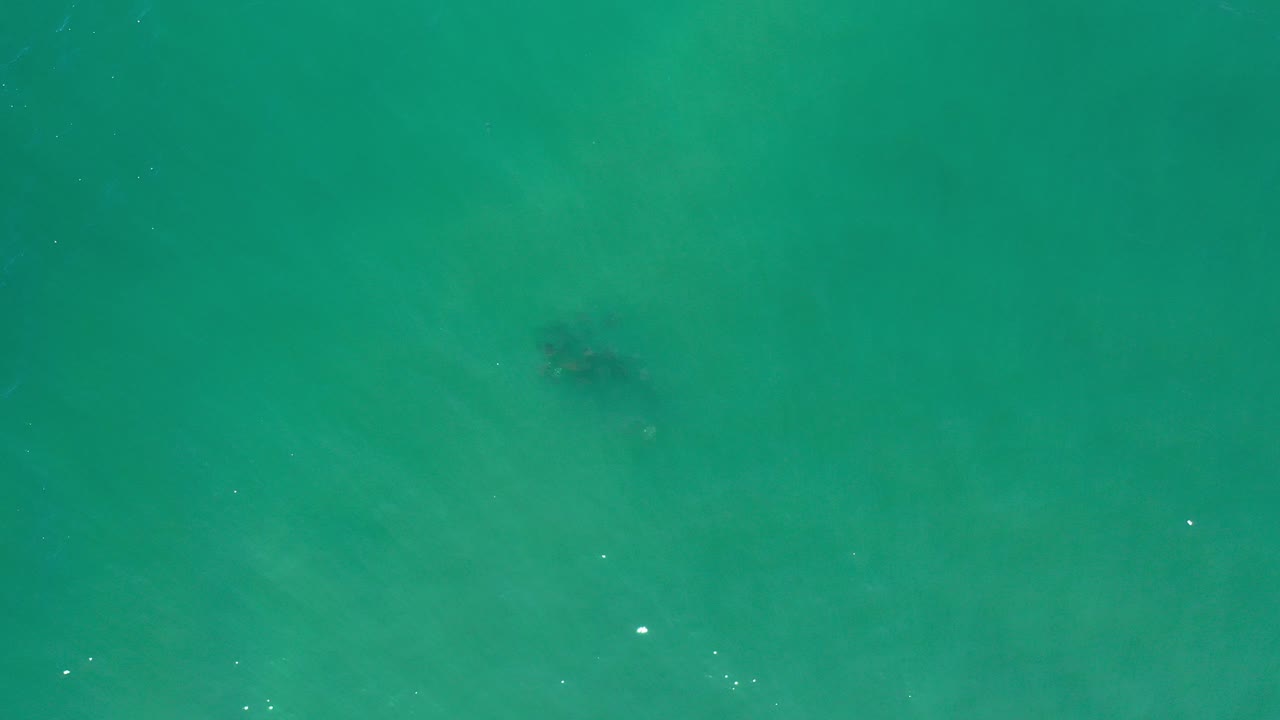 Overhead turquoise water with a dark underwater shape near the upper left.