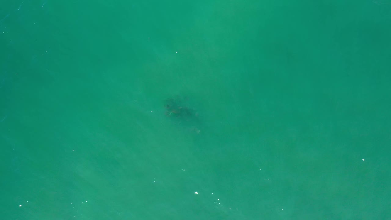 The Los Cabos overhead frame shows green-blue water, faint sandy bands, and a dark submerged shape closer to the upper center, with no visible people.