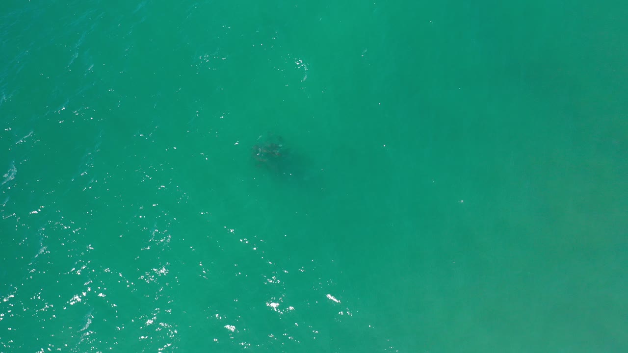 Top-down view of green sea water in Los Cabos with faint underwater dark patches, small ripples, and no visible people.