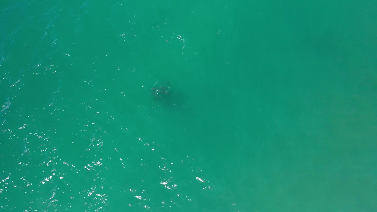 Overhead Los Cabos sea surface with green water, brighter ripple highlights near the lower part of frame, and no visible people.