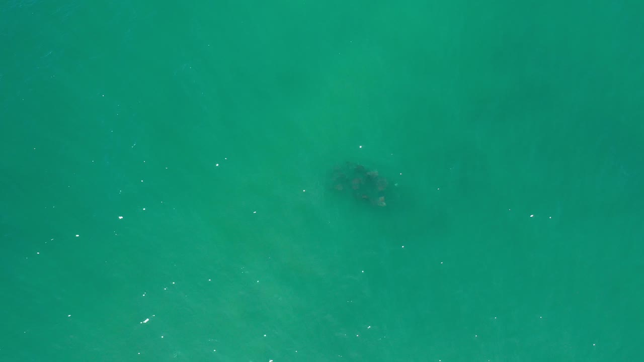 Aerial ocean view with muted teal water and a small dark cluster below the surface.