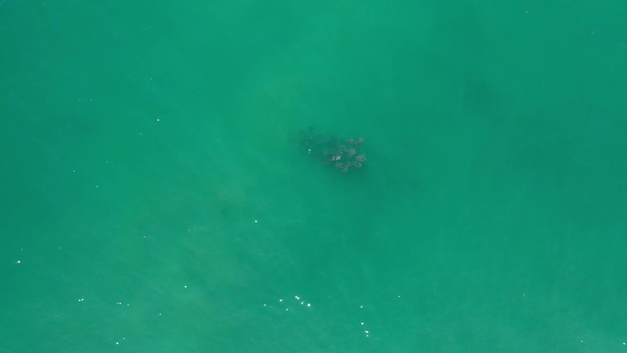 Top-down Los Cabos ocean frame with teal water, faint pale seabed variation, a dark submerged cluster near the upper middle, and no visible people.